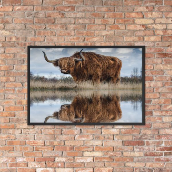Water Buffalo Water Reflection Poster - Framed - Image 4